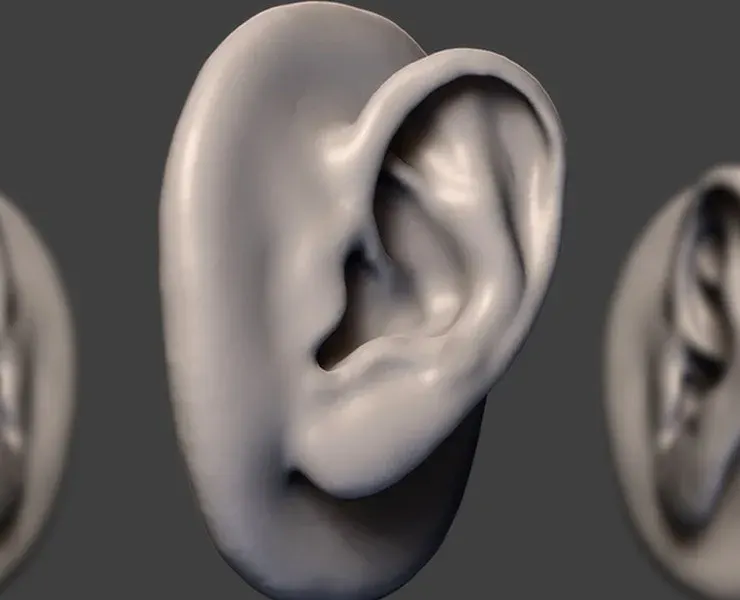 How to Sculpt the Ear in Zbrush