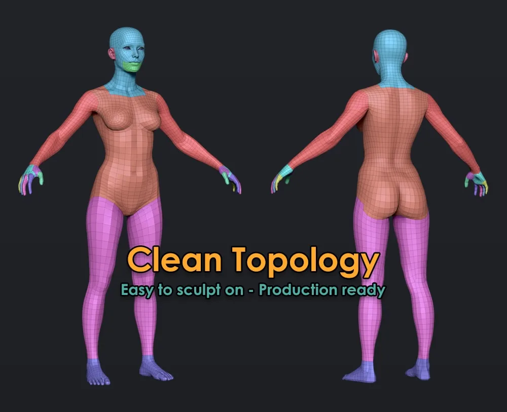 Female Basemesh (low poly) V2