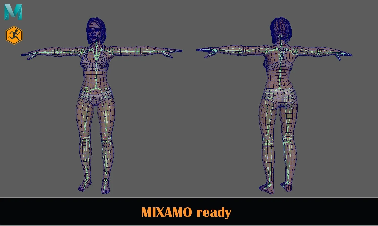 Female Basemesh - Game Ready