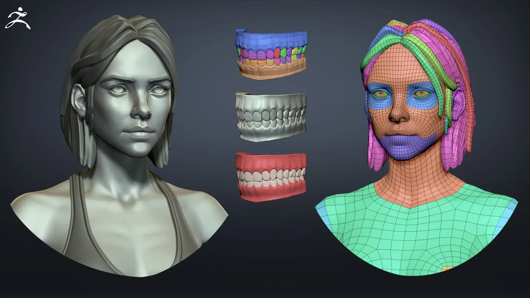 Female Basemesh - Sources Bundle