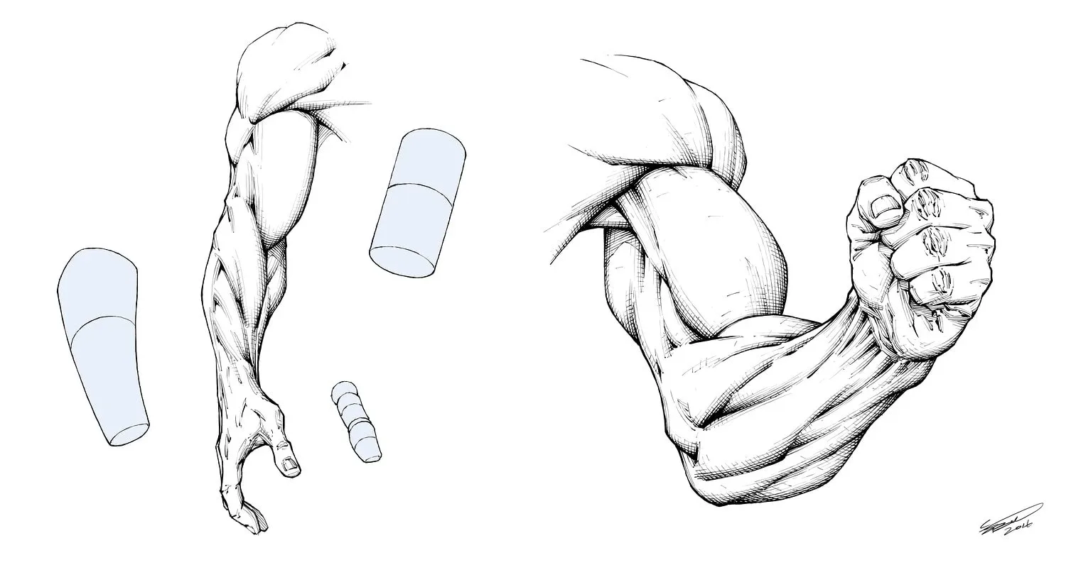 Figure Drawing Foundations: Proportions