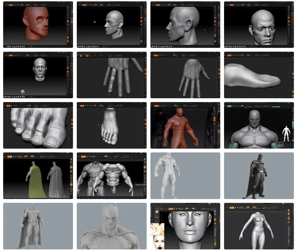 Professional 3D Art Characters in Zbrush - 16 Vols - Basic to Intermediate - 3D Art School