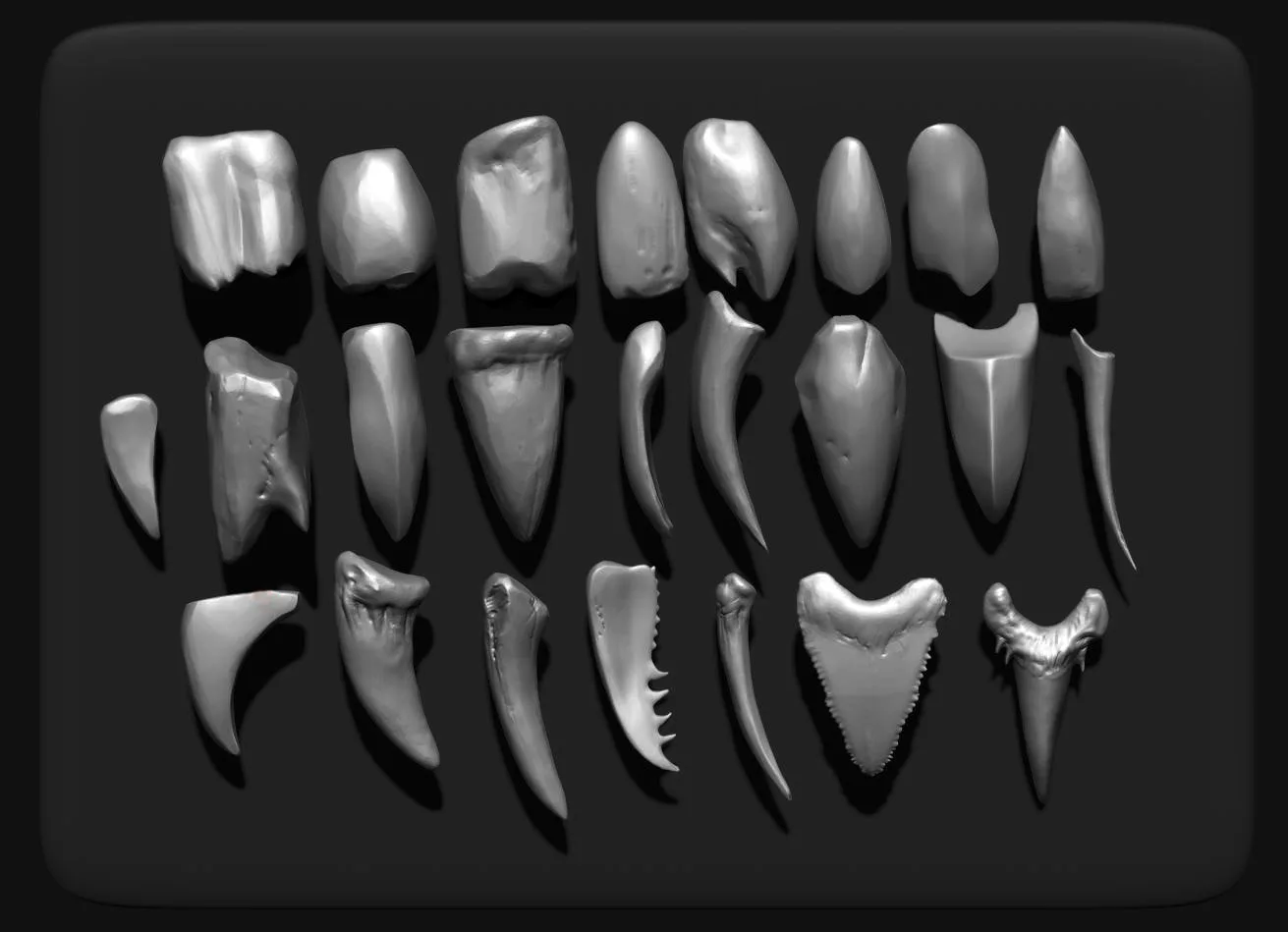 TEETH - Zbrush 24 Assorted Teeth IMM Brush