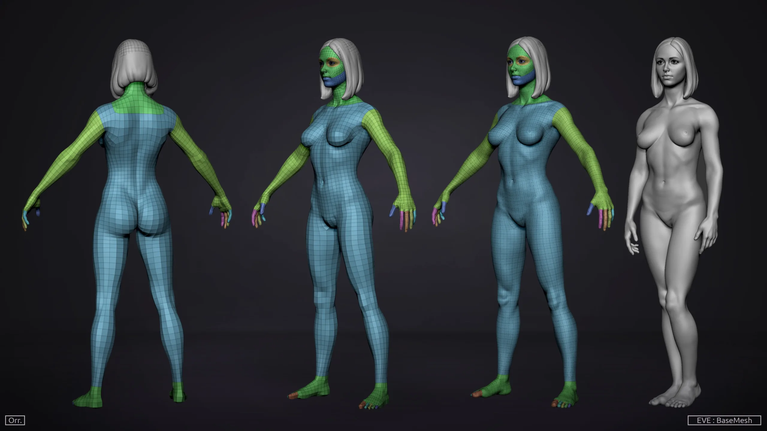 Female BaseMesh - Eve