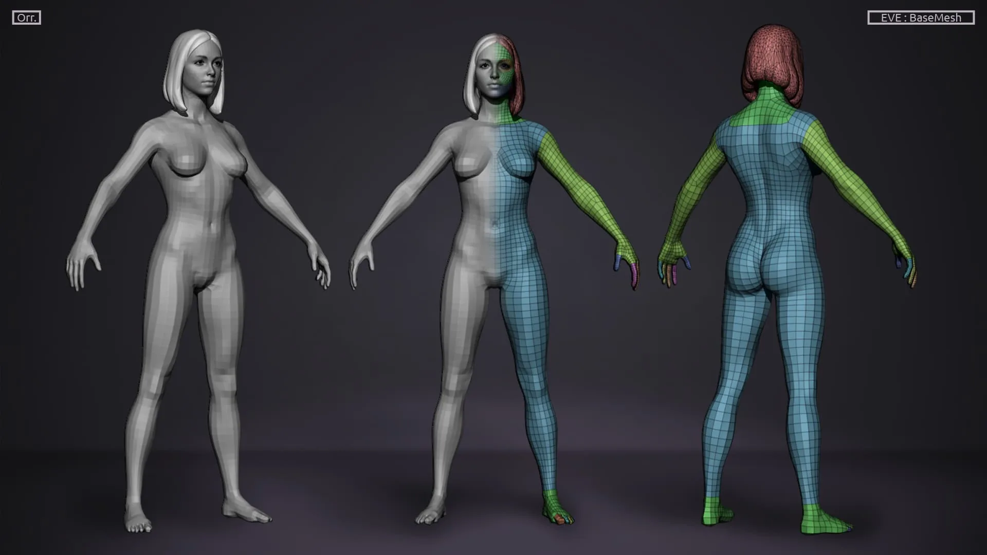 Female BaseMesh - LowPoly