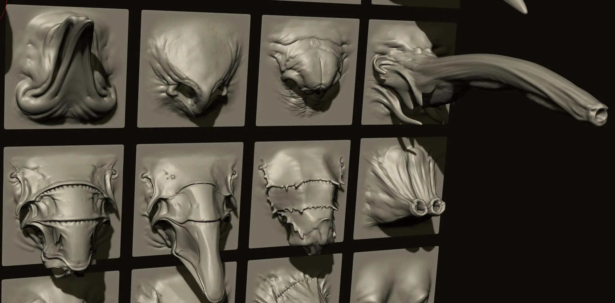 NOSES – 40 ZBrush VDM Nasal Areas