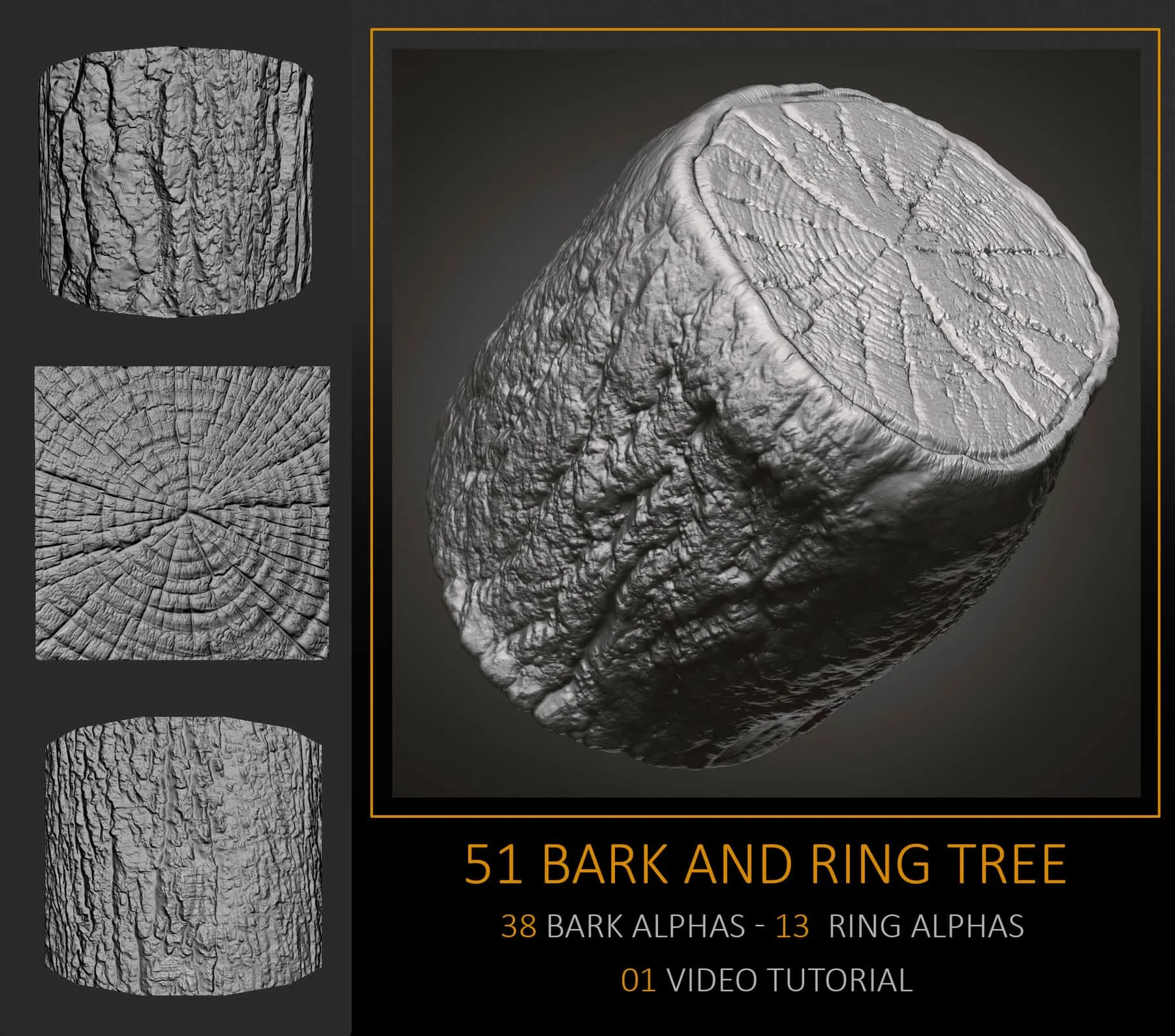 51 Bark and Ring Tree