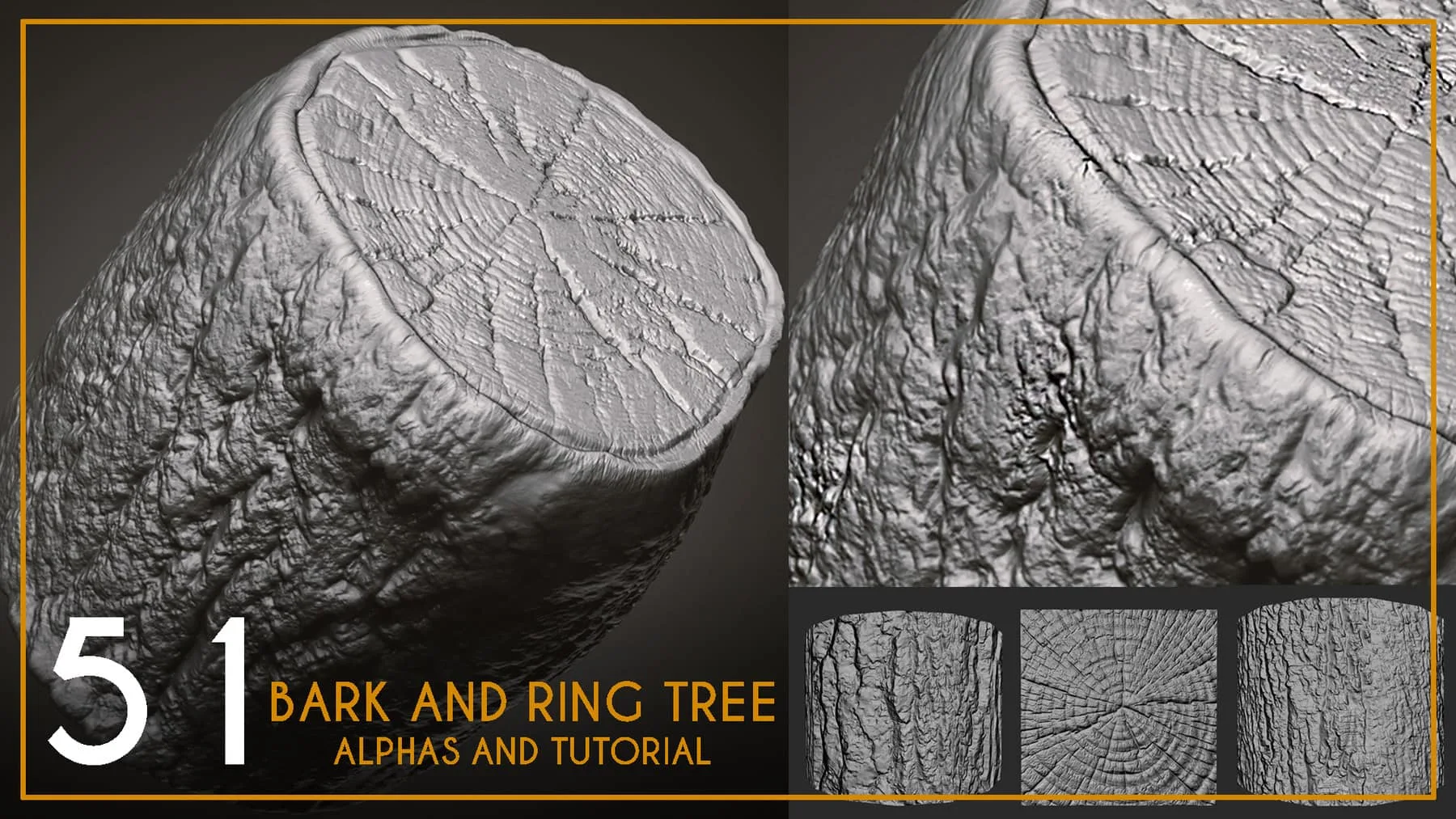 51 Bark and Ring Tree