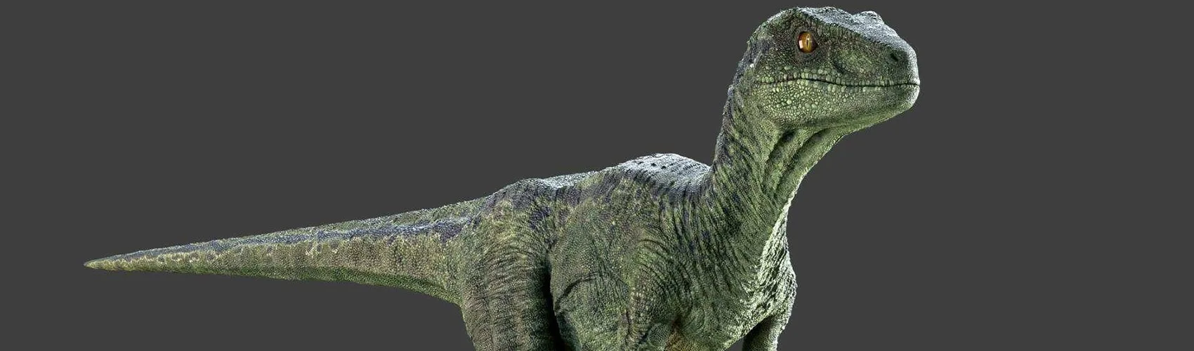 Raptor Dinosaur Maya Rig