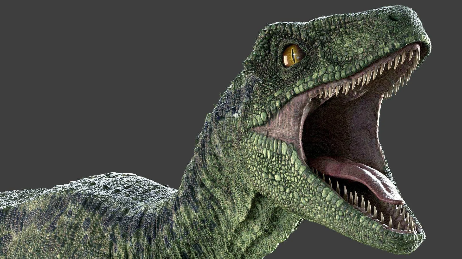 Raptor Dinosaur Maya Rig