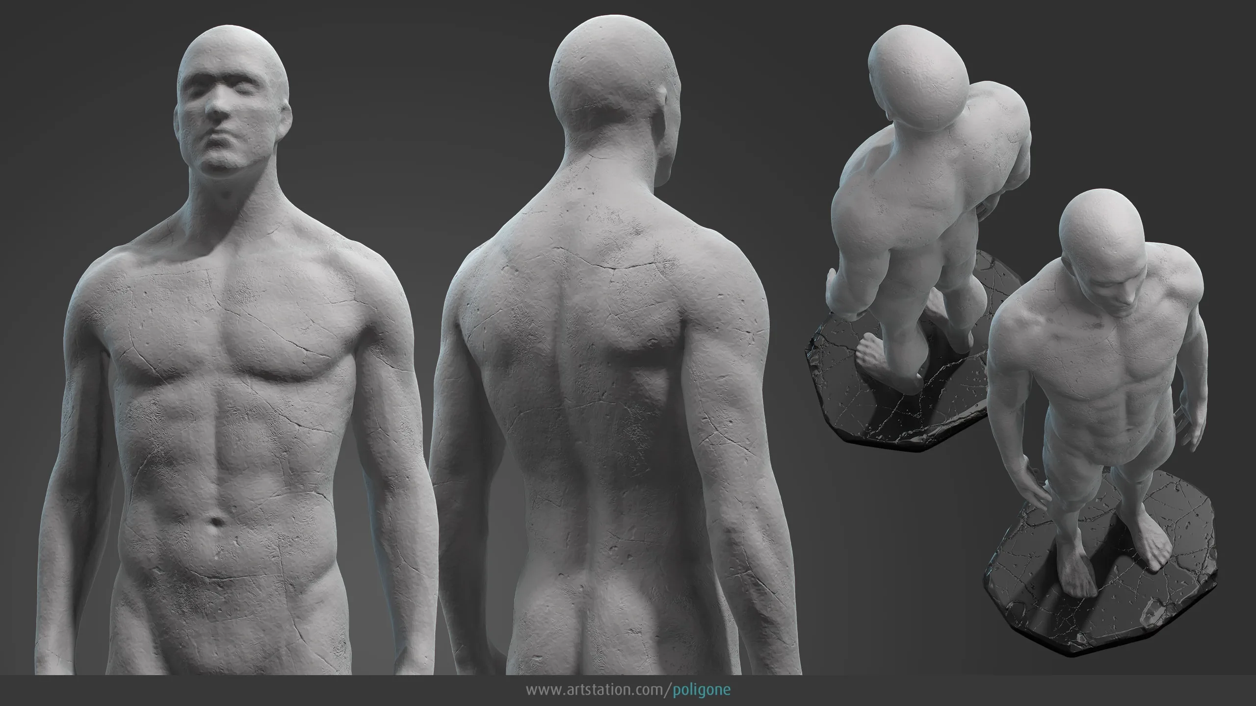 Male Anatomy Statue