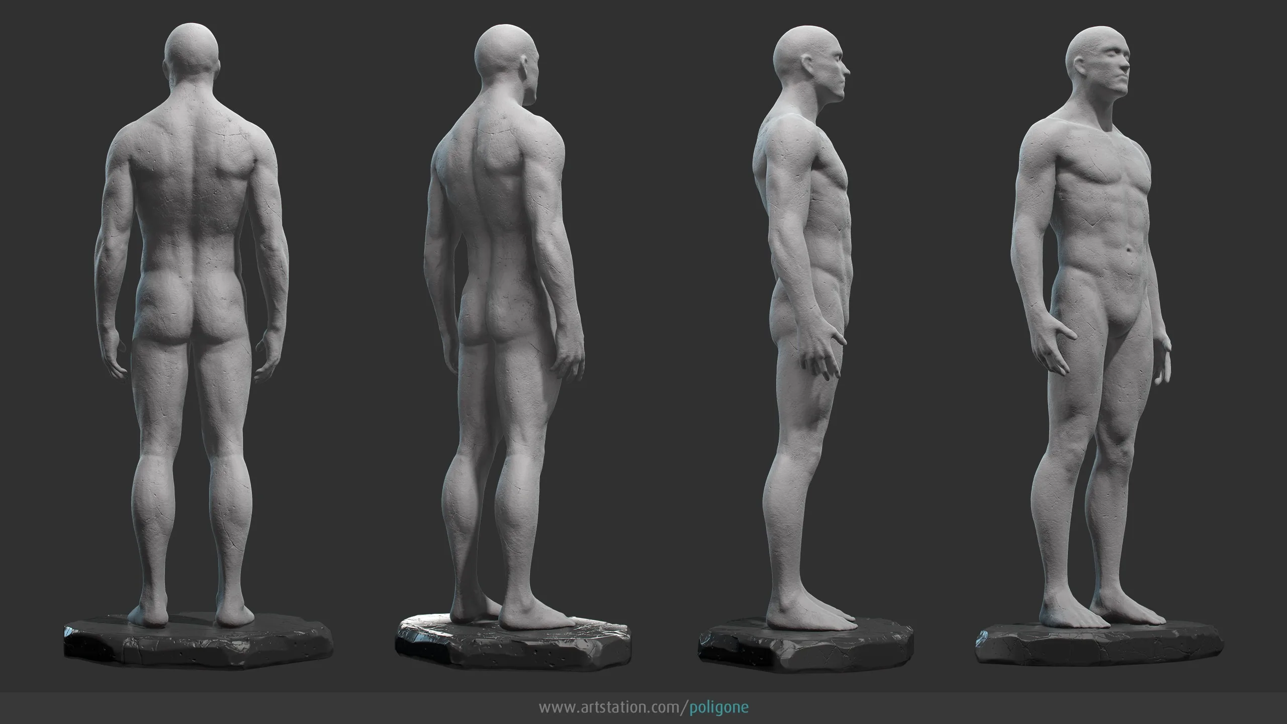 Male Anatomy Statue