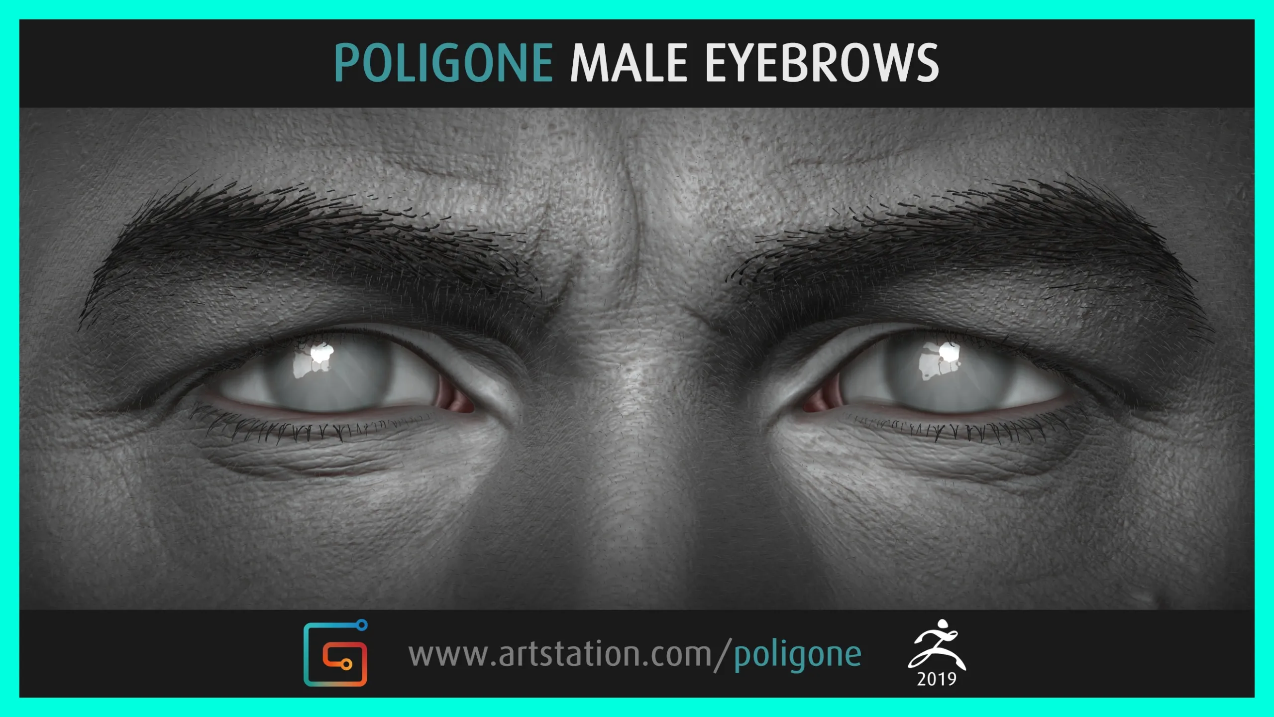 Poligone Male Eyebrows