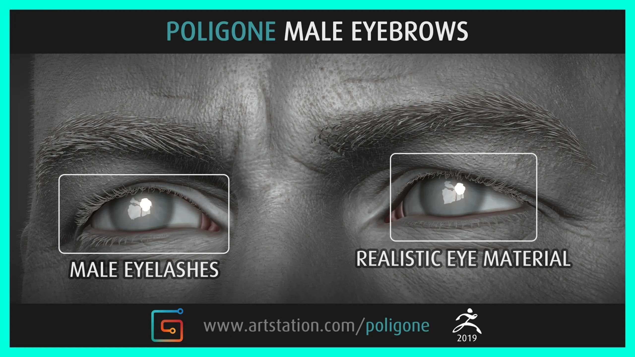 Poligone Male Eyebrows