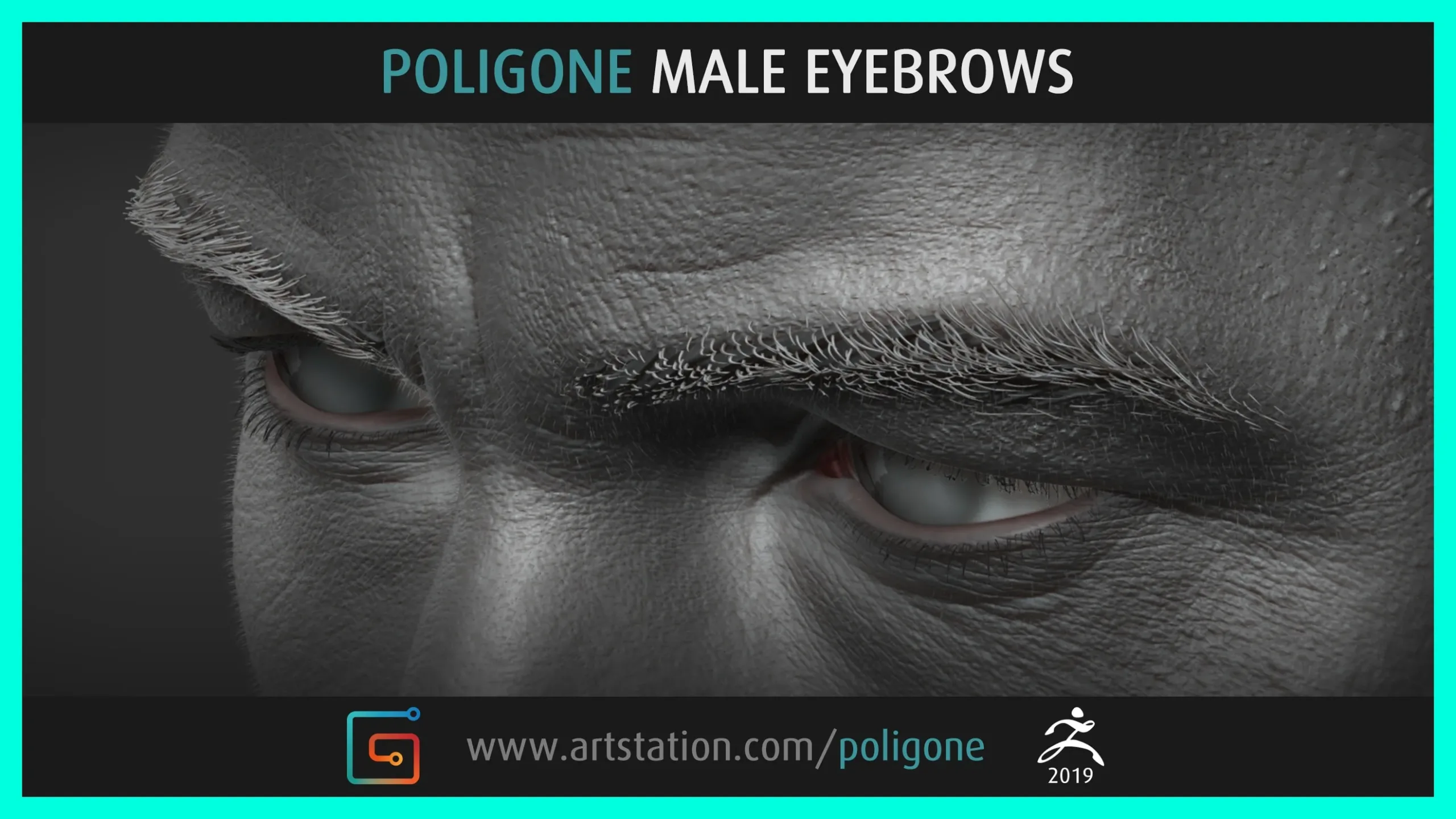 Poligone Male Eyebrows