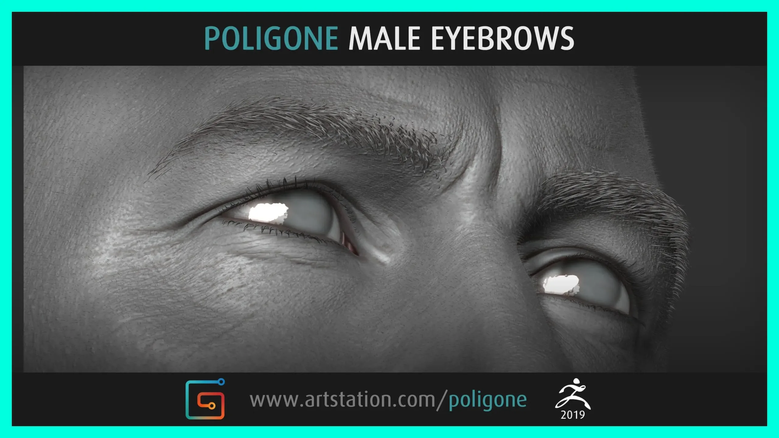 Poligone Male Eyebrows