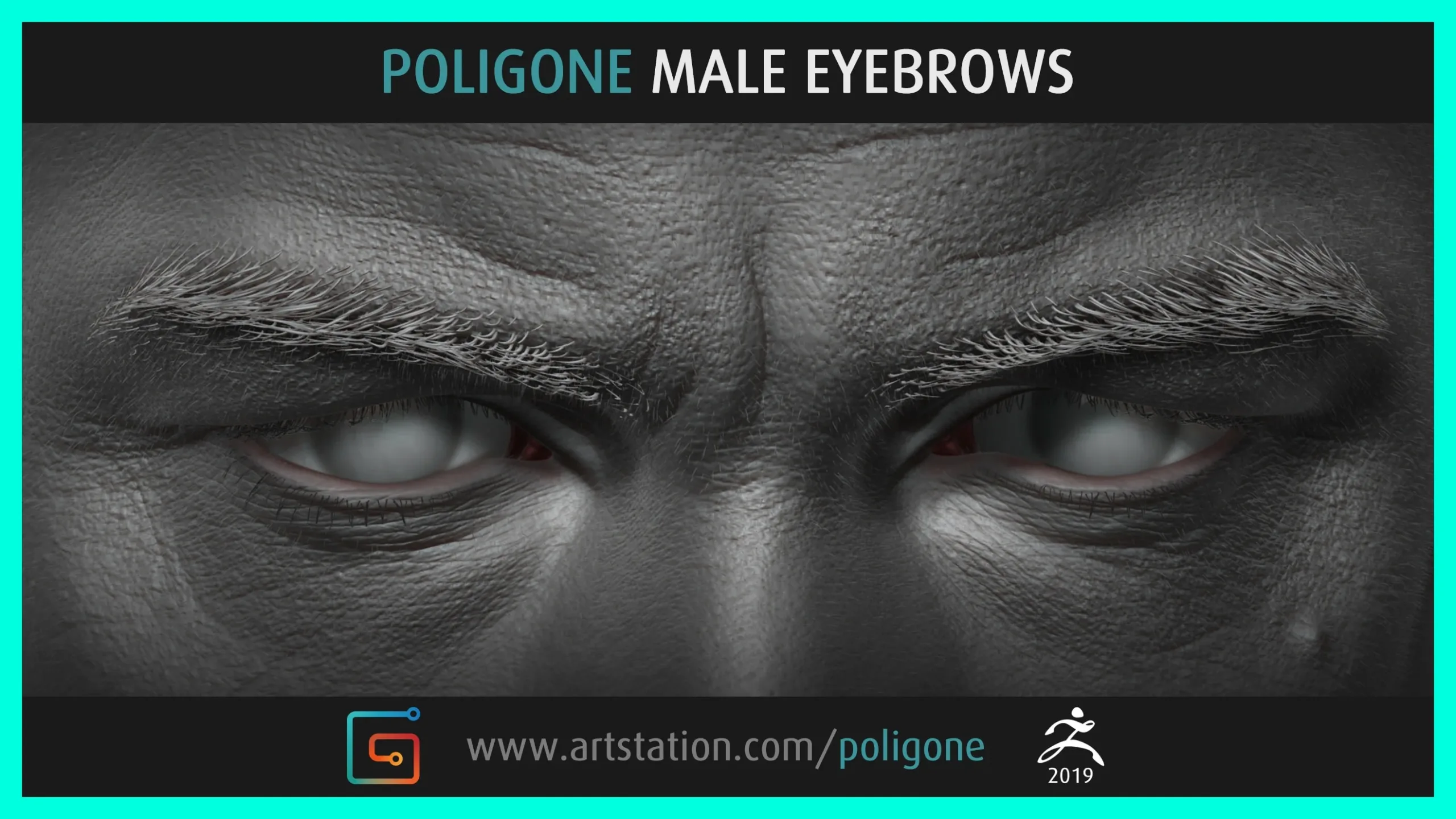 Poligone Male Eyebrows