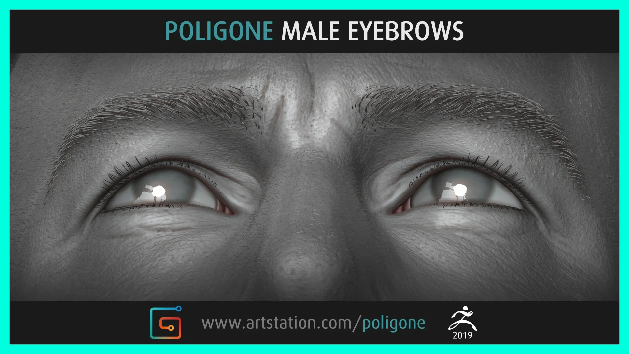 Poligone Male Eyebrows