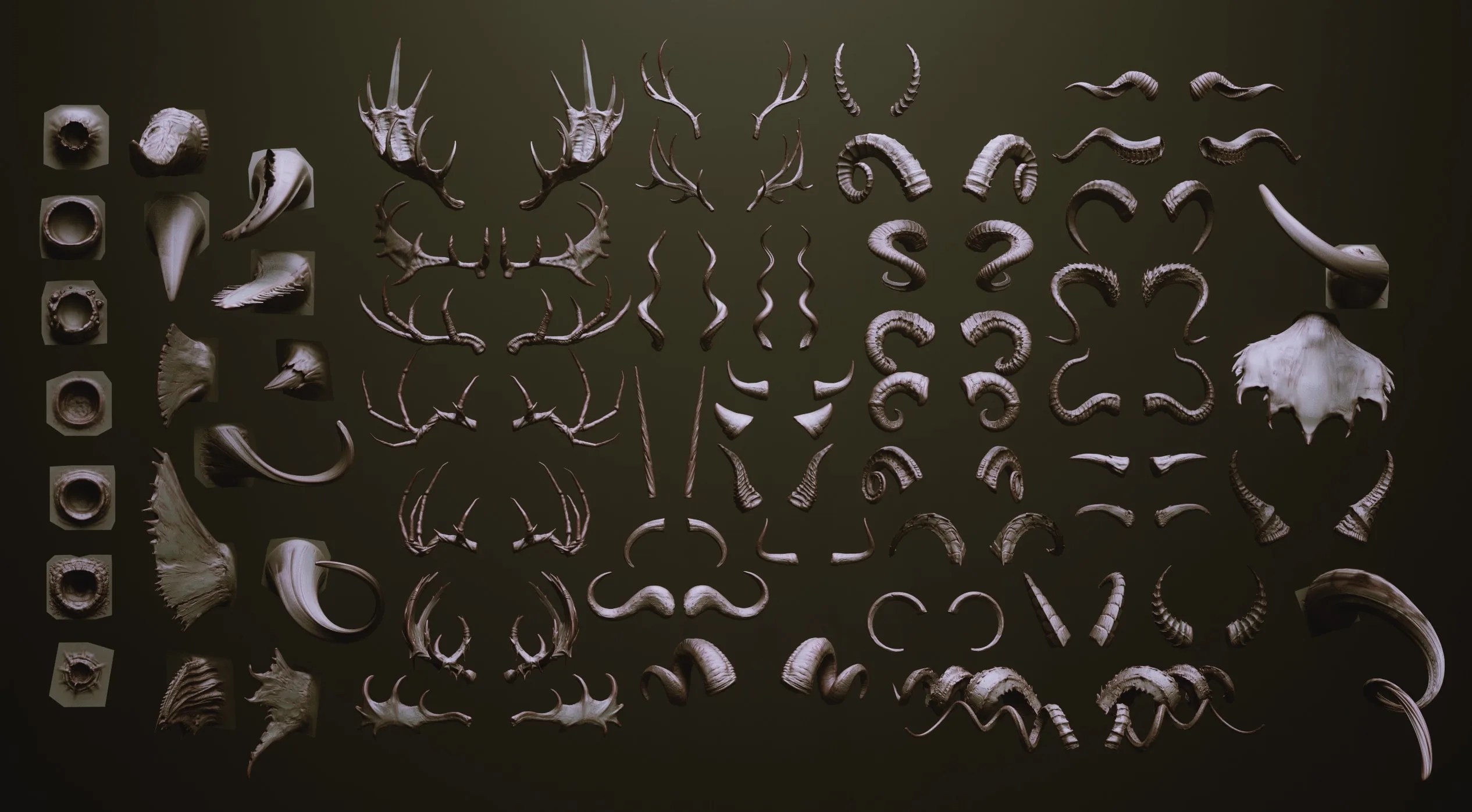 HORNS - 60 Horns, Antlers, Frills & Horn Sockets IMM + VDM