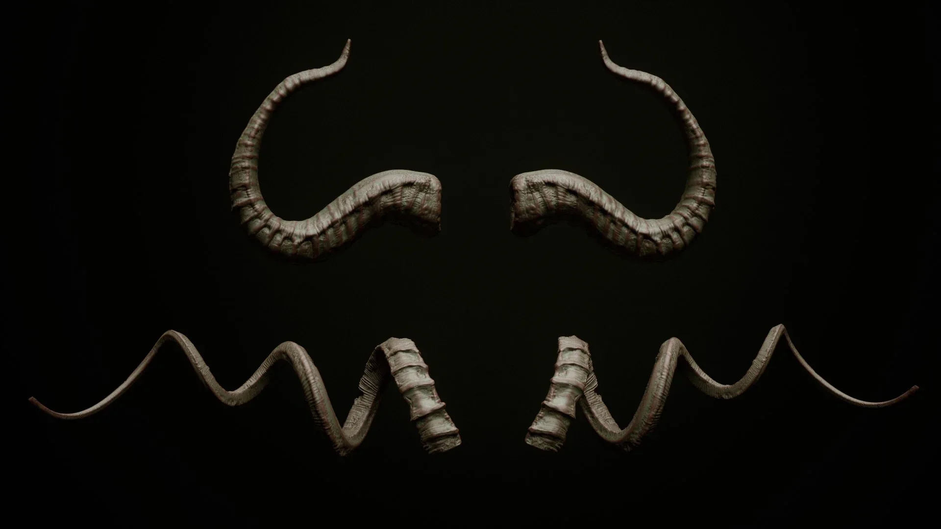 HORNS - 60 Horns, Antlers, Frills & Horn Sockets IMM + VDM