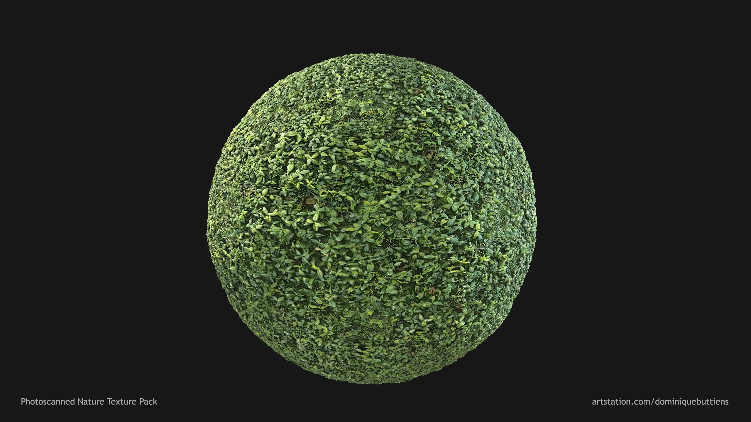 Photoscanned Nature Texture Pack