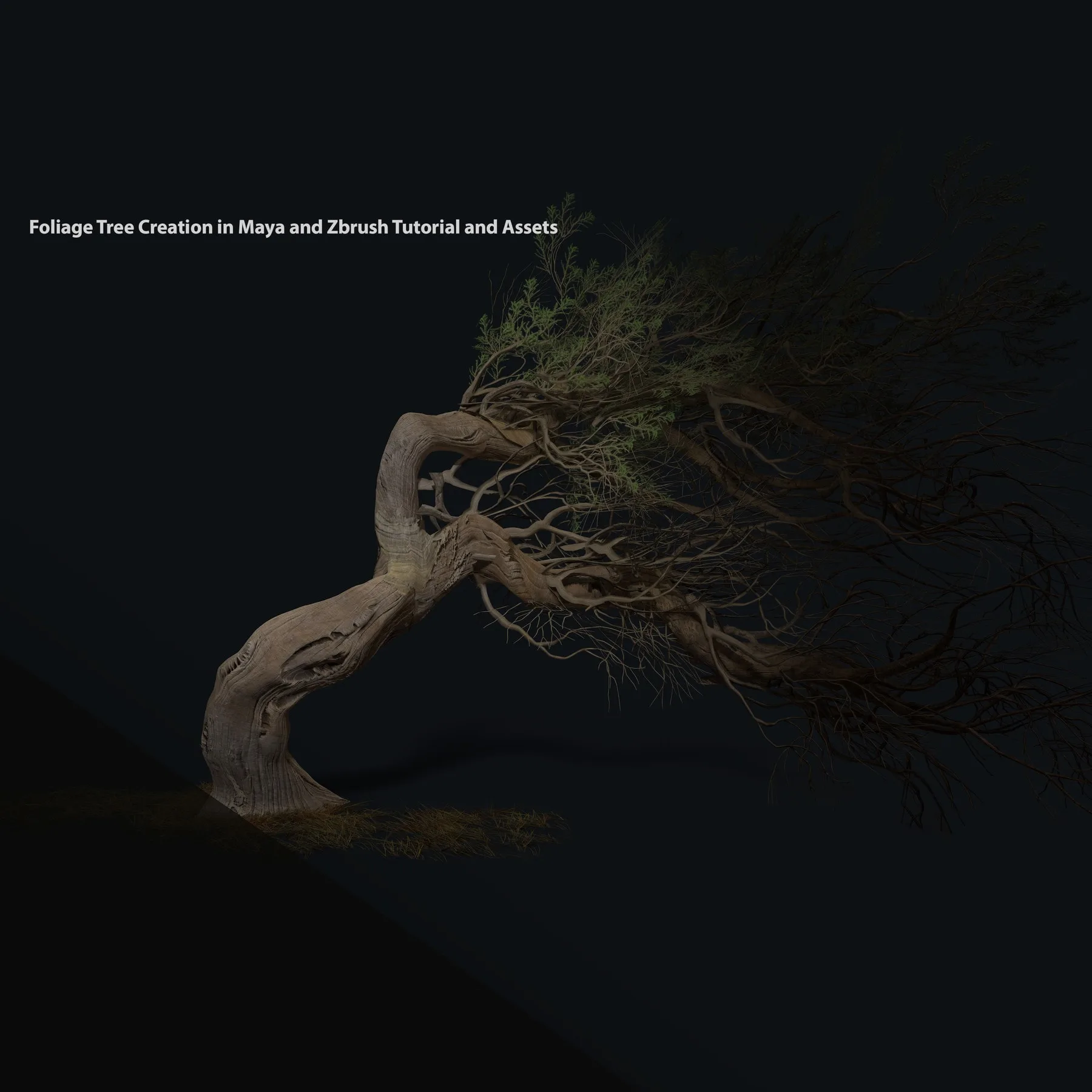 Foliage Tree Creation in Maya and Zbrush Tutorial and Assets