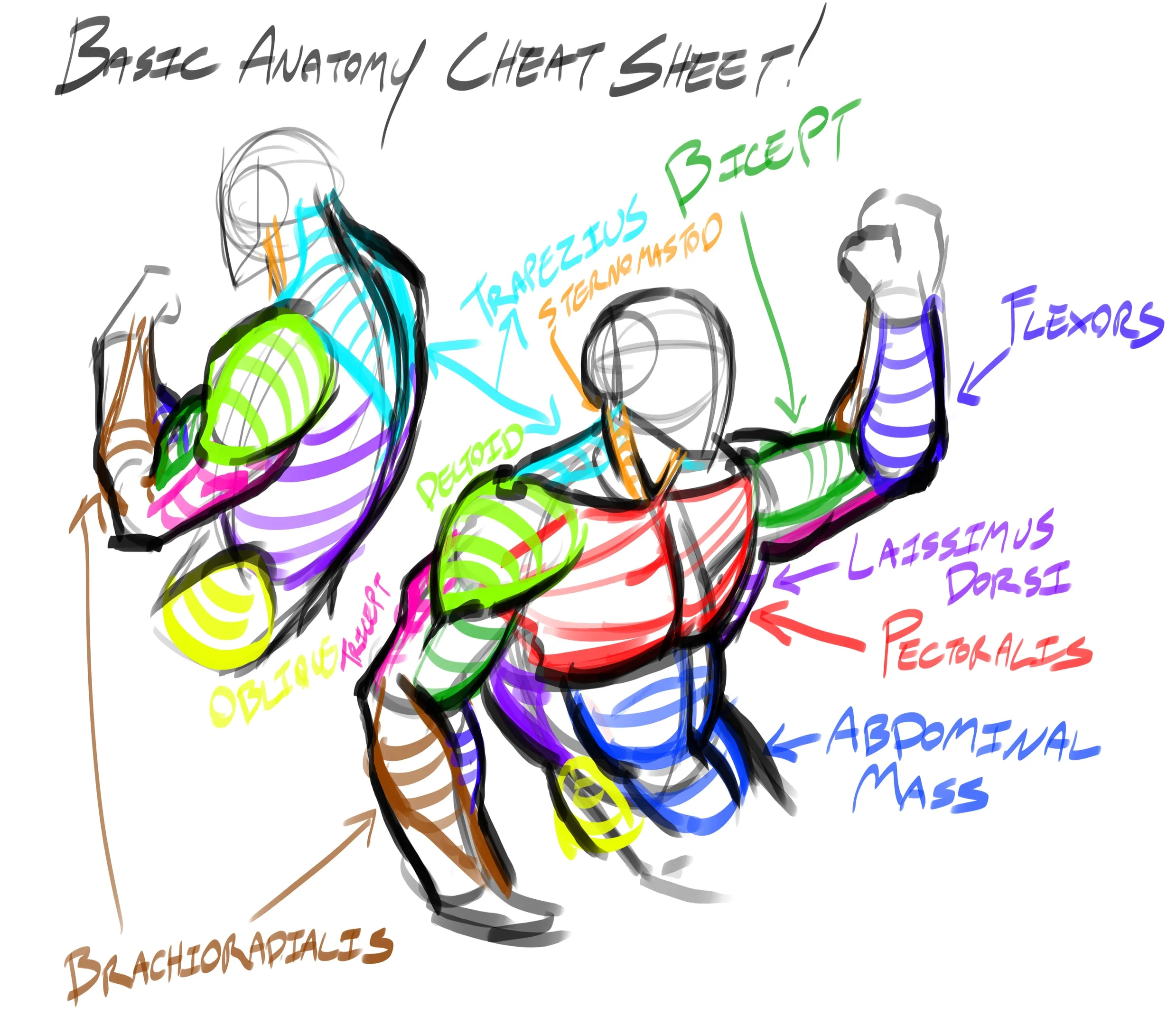 Complete Drawing Guide