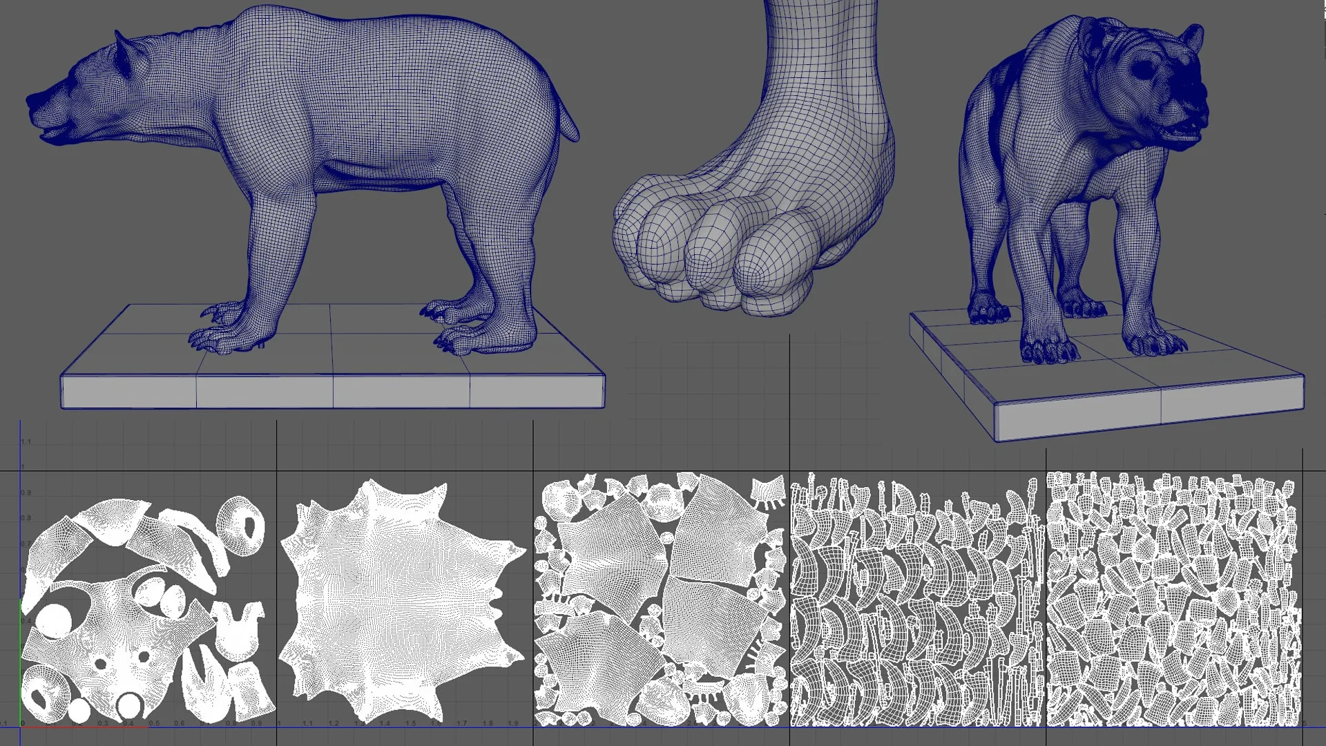 Digital Grizzly Anatomy Atlas for Muscles Simulation