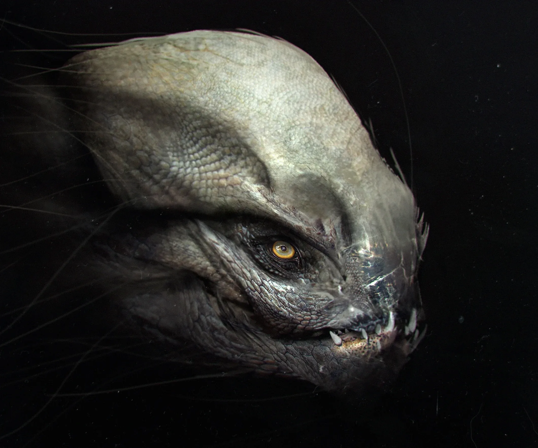 Process - Creature Design for Film 01