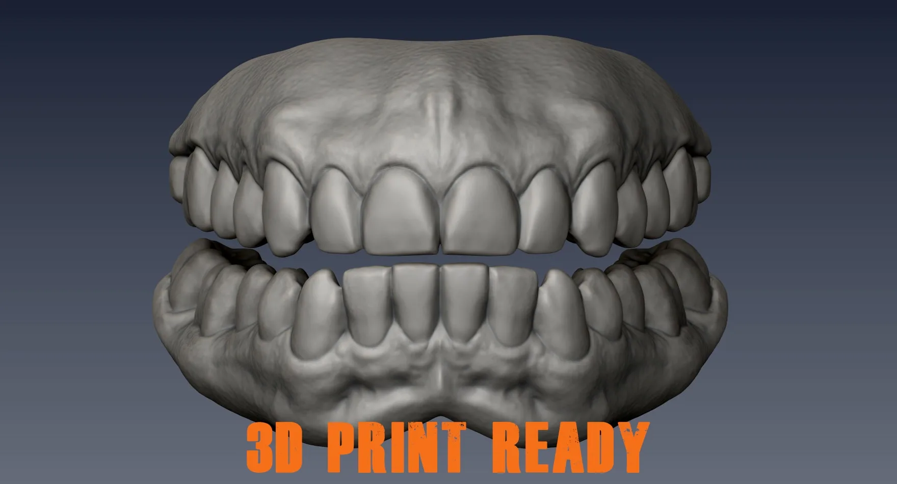 Realistic Teeth Zbrush File from Scan Data