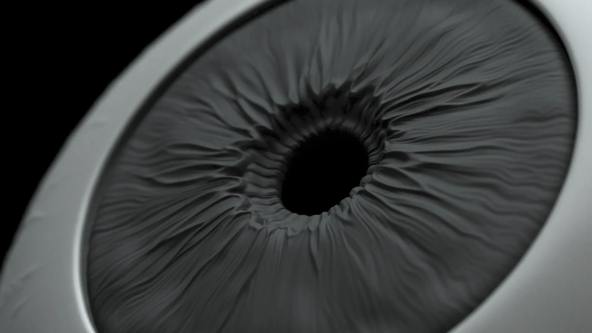 High Poly Eye