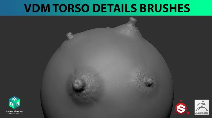 VDM Torso Details Brush Pack