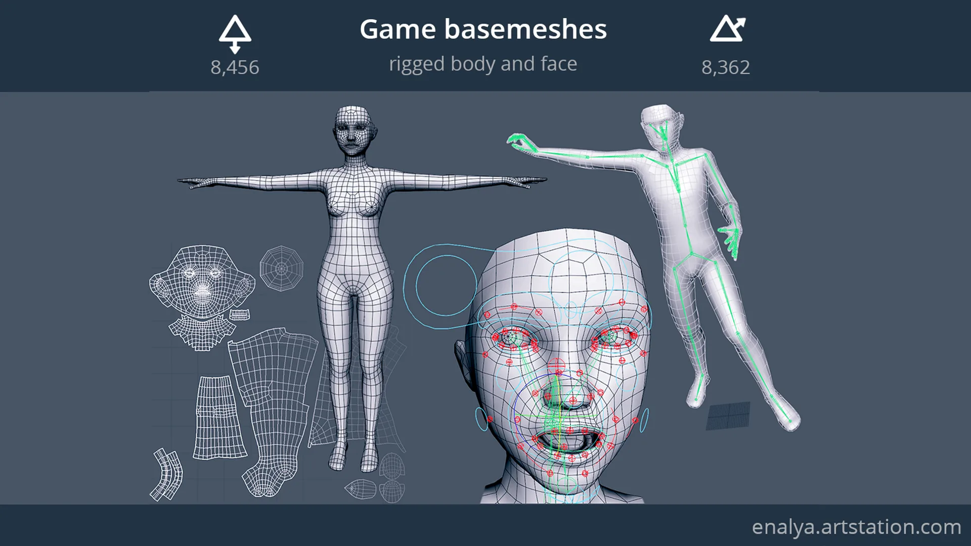 Human Basemeshes - Rigged Body &amp; Face