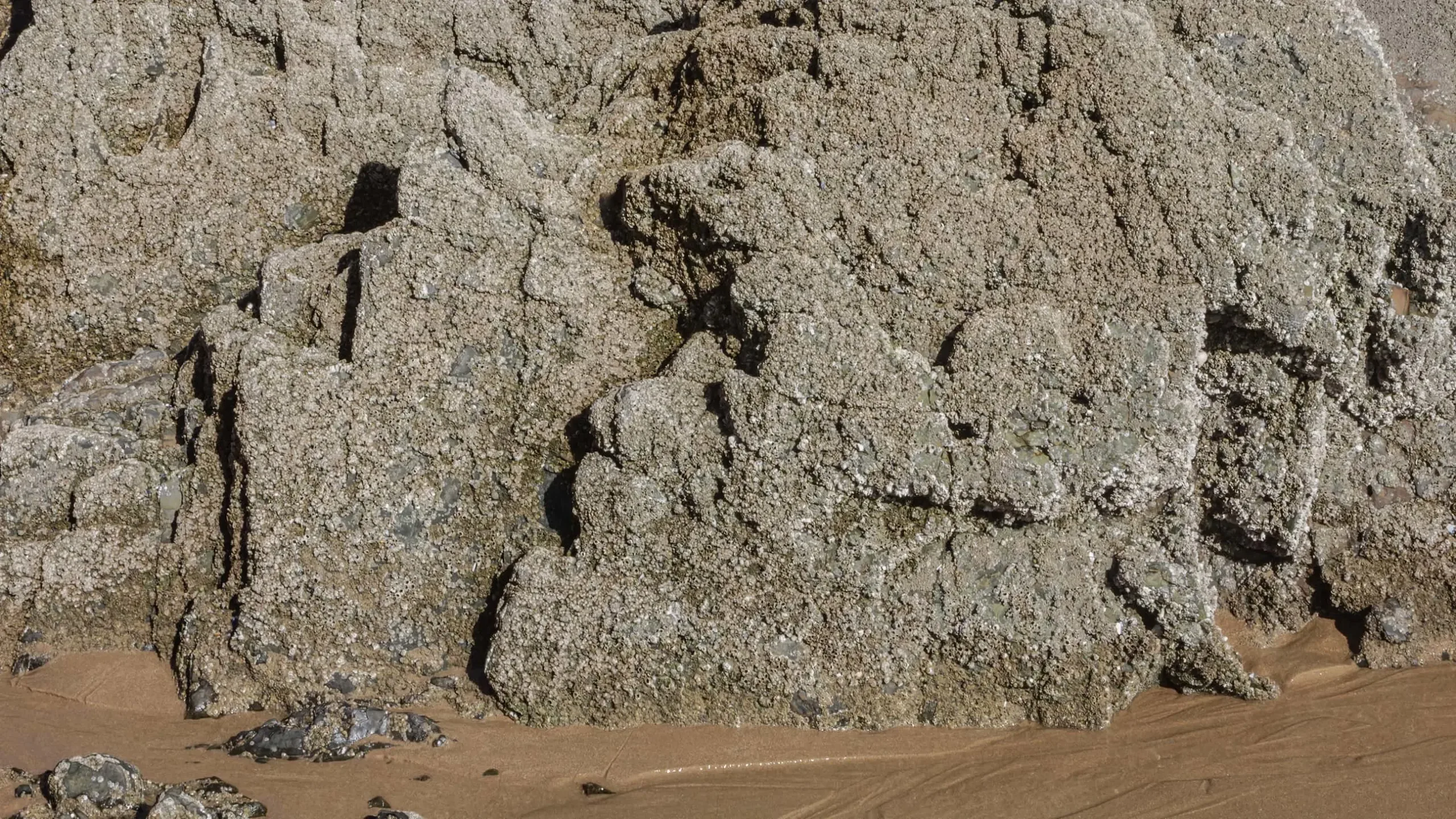 Coastal Rock Photopack 800+ Images