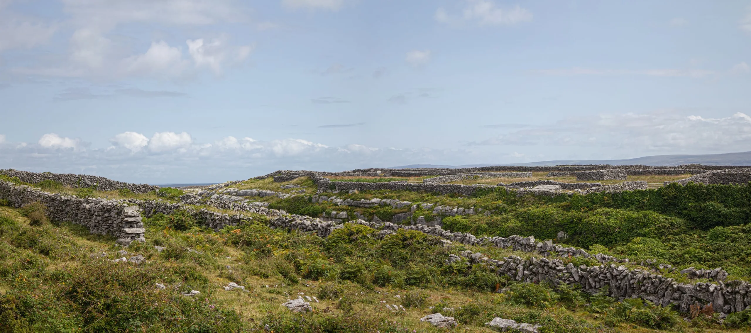 Coastal Rock Ref - Cliffs of Moher & Aran Islands - 110+ Images