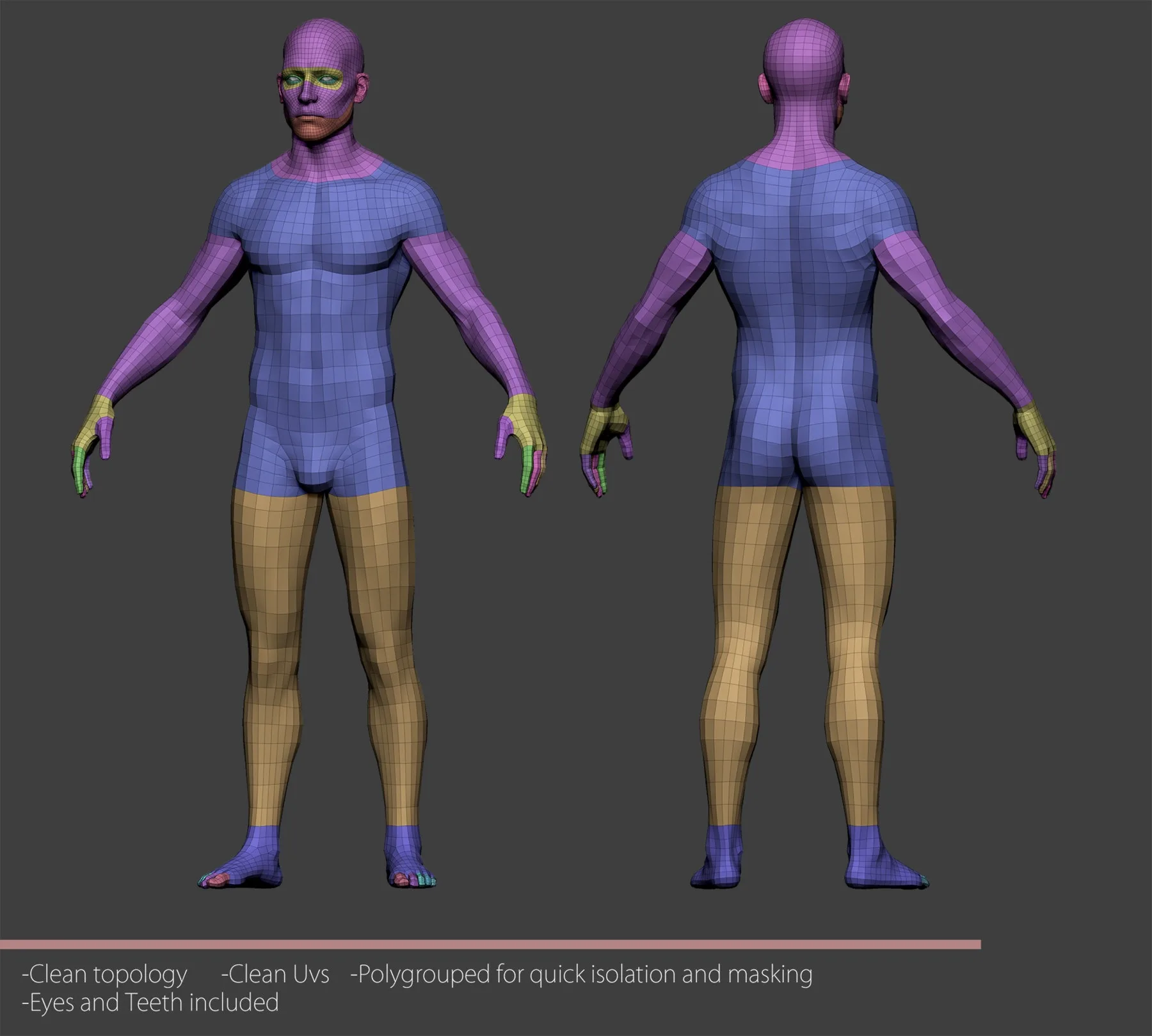 Male Lowpoly Basemesh