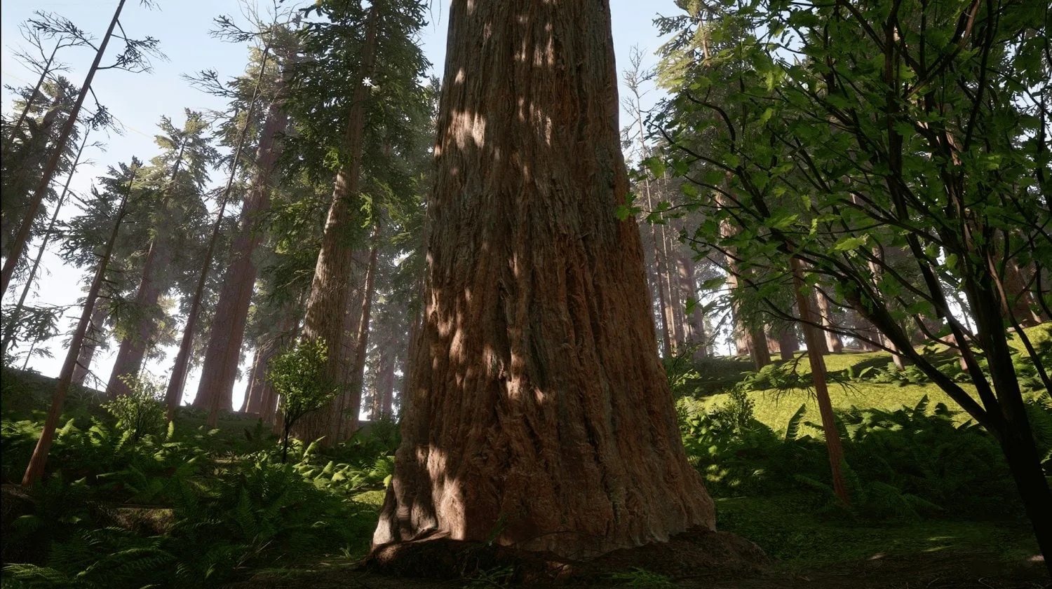 Redwood Forest - Game Ready