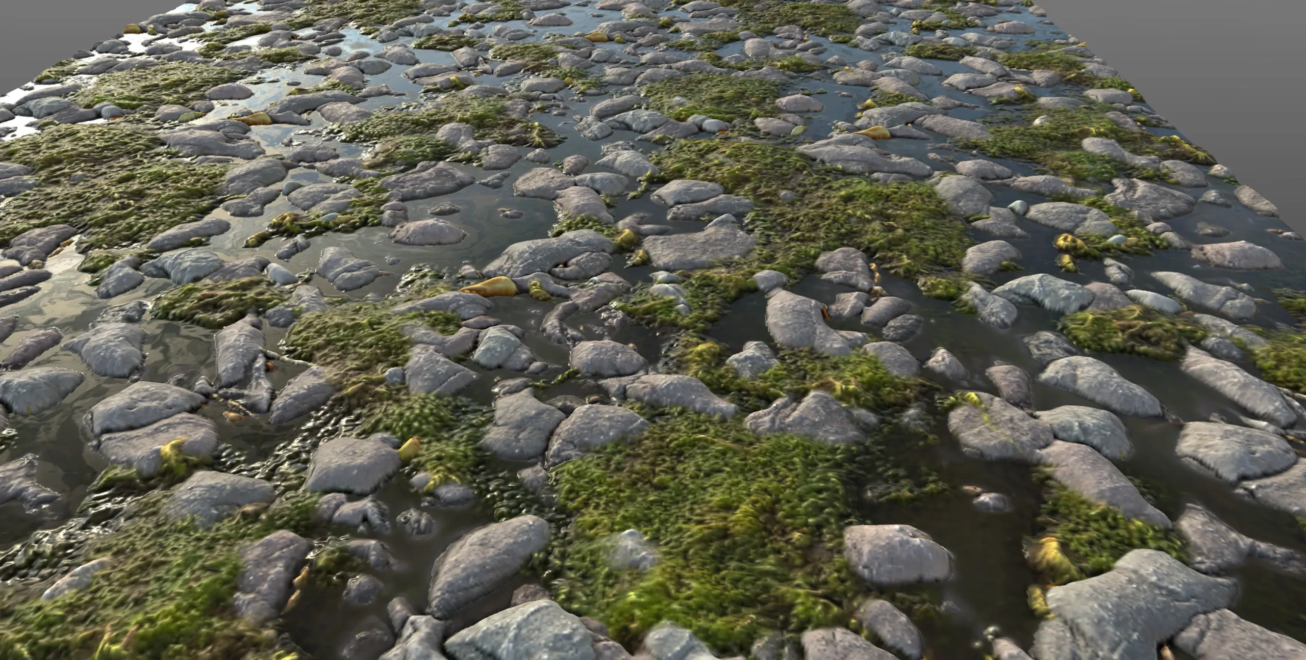 Mossy River Stones 02 - PBR Material Texture