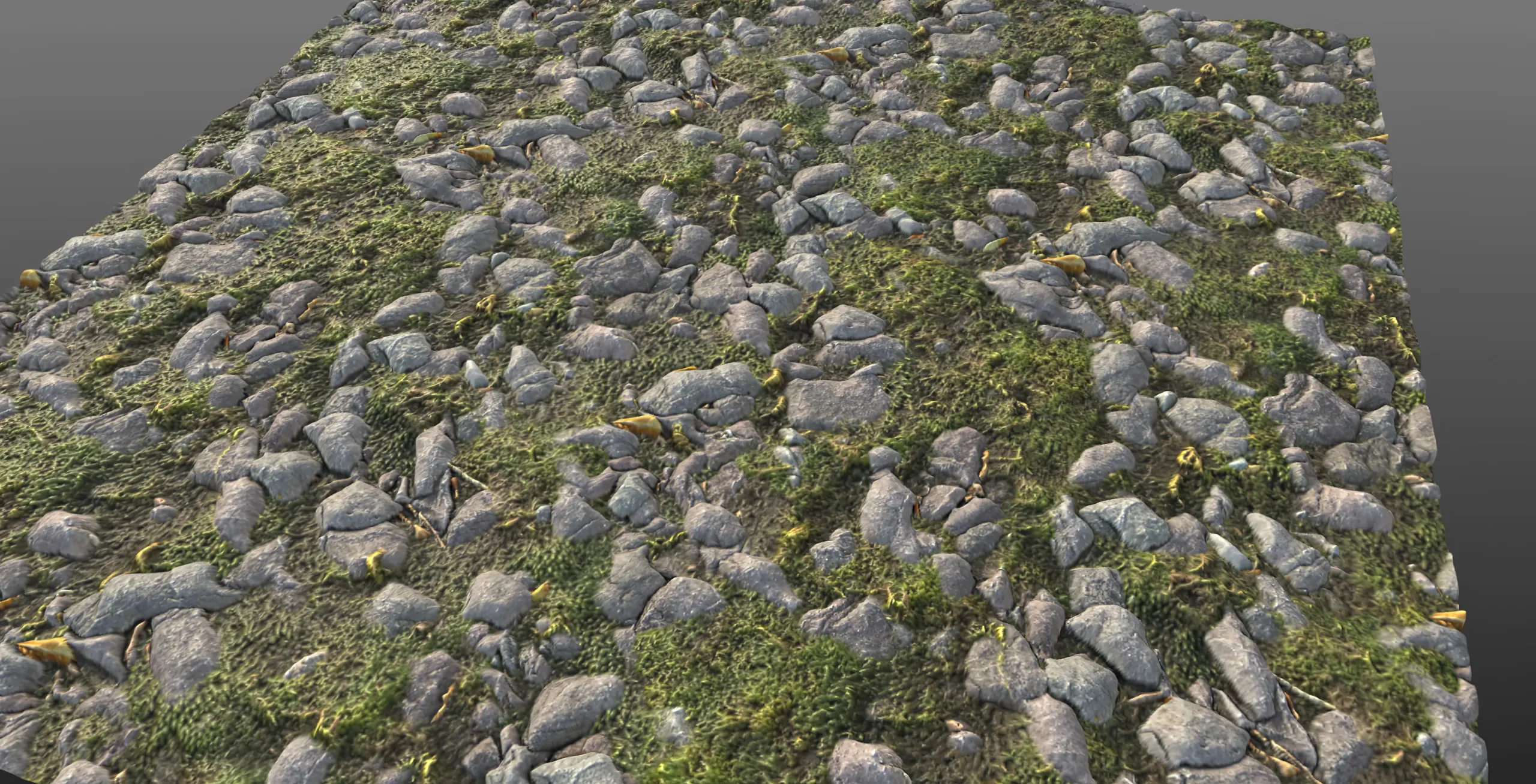 Small Mossy Stones - Material Texture