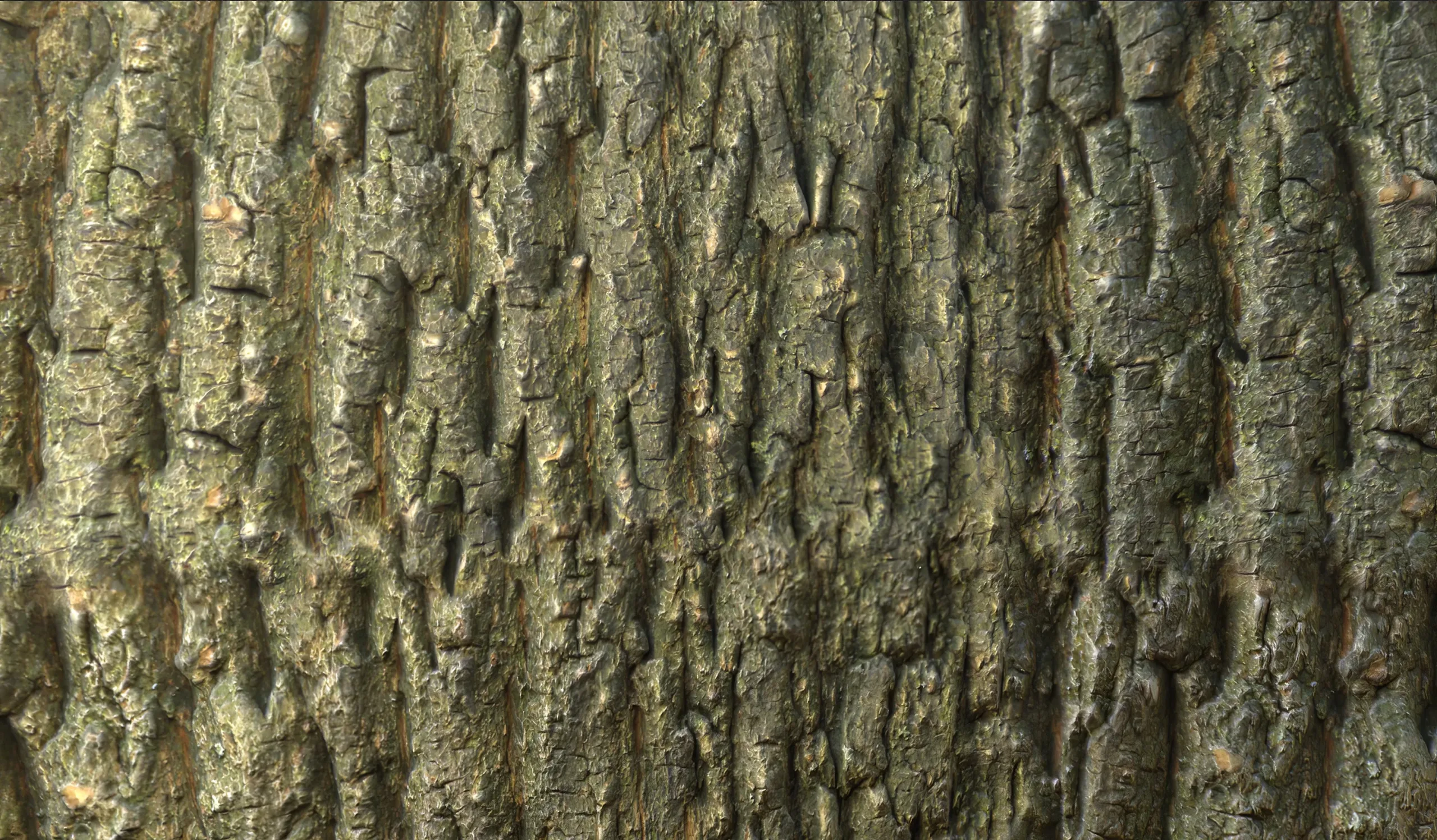 Tree Bark 05 - PBR Material Texture