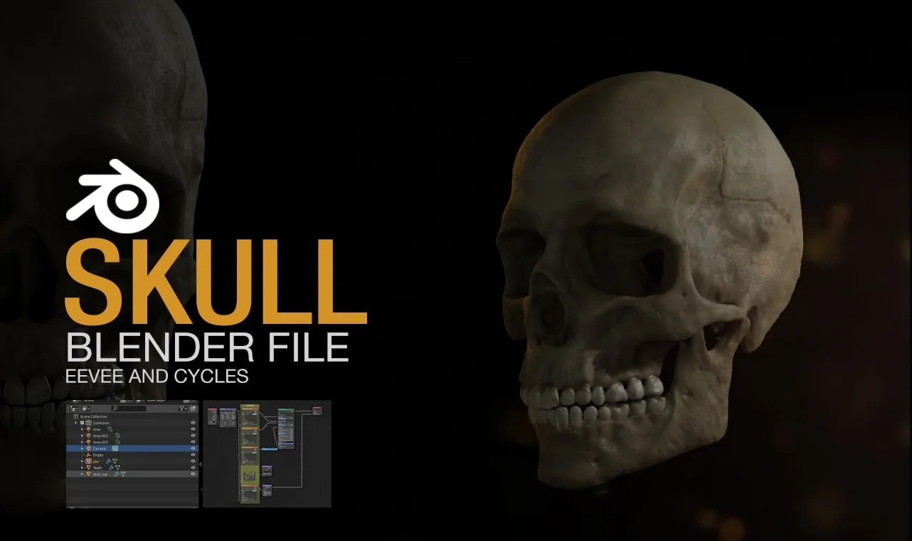 Human Skull - Blender Eevee & Cycles File