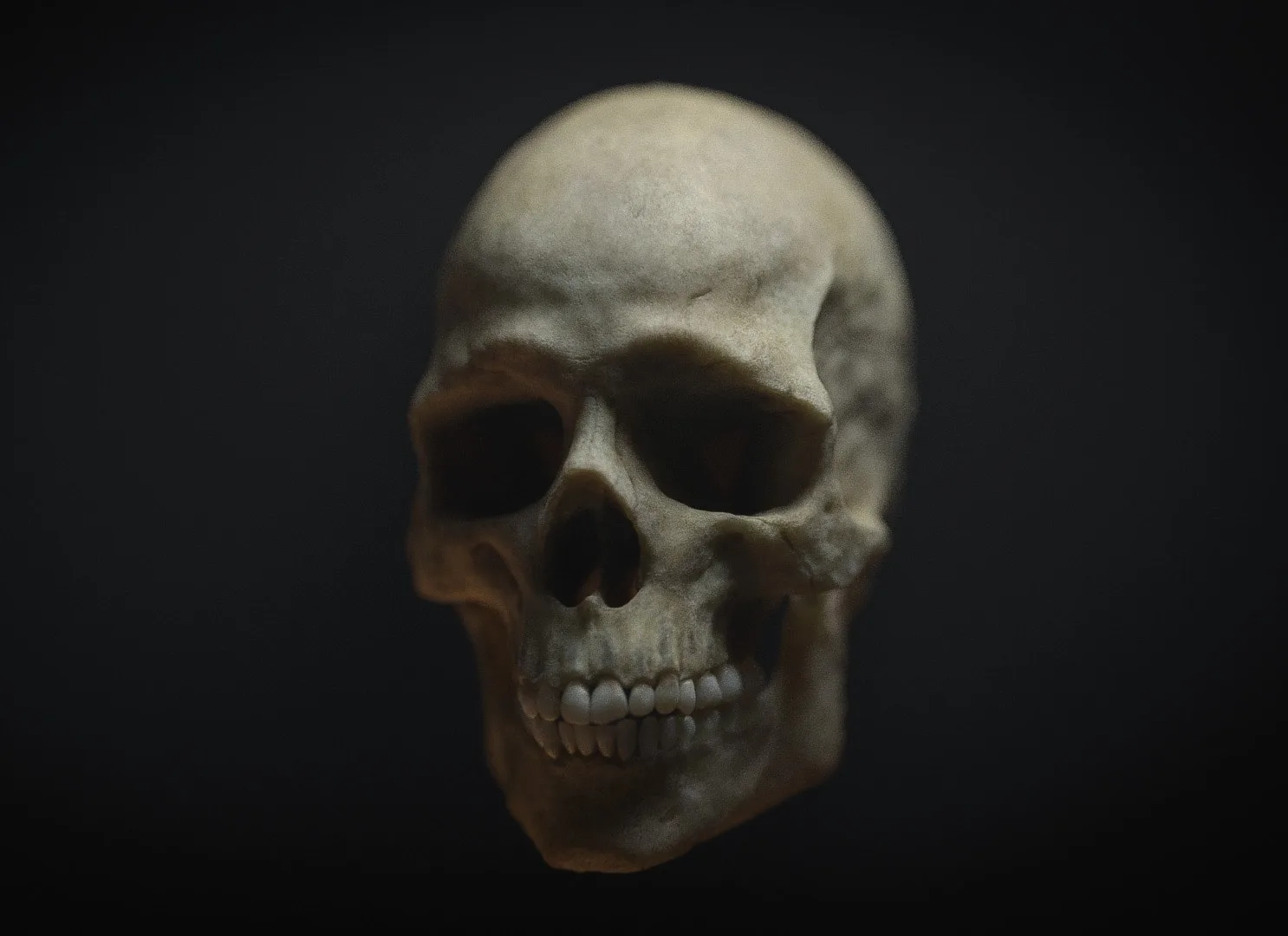 Human Skull - Cinema 4D & Redshift