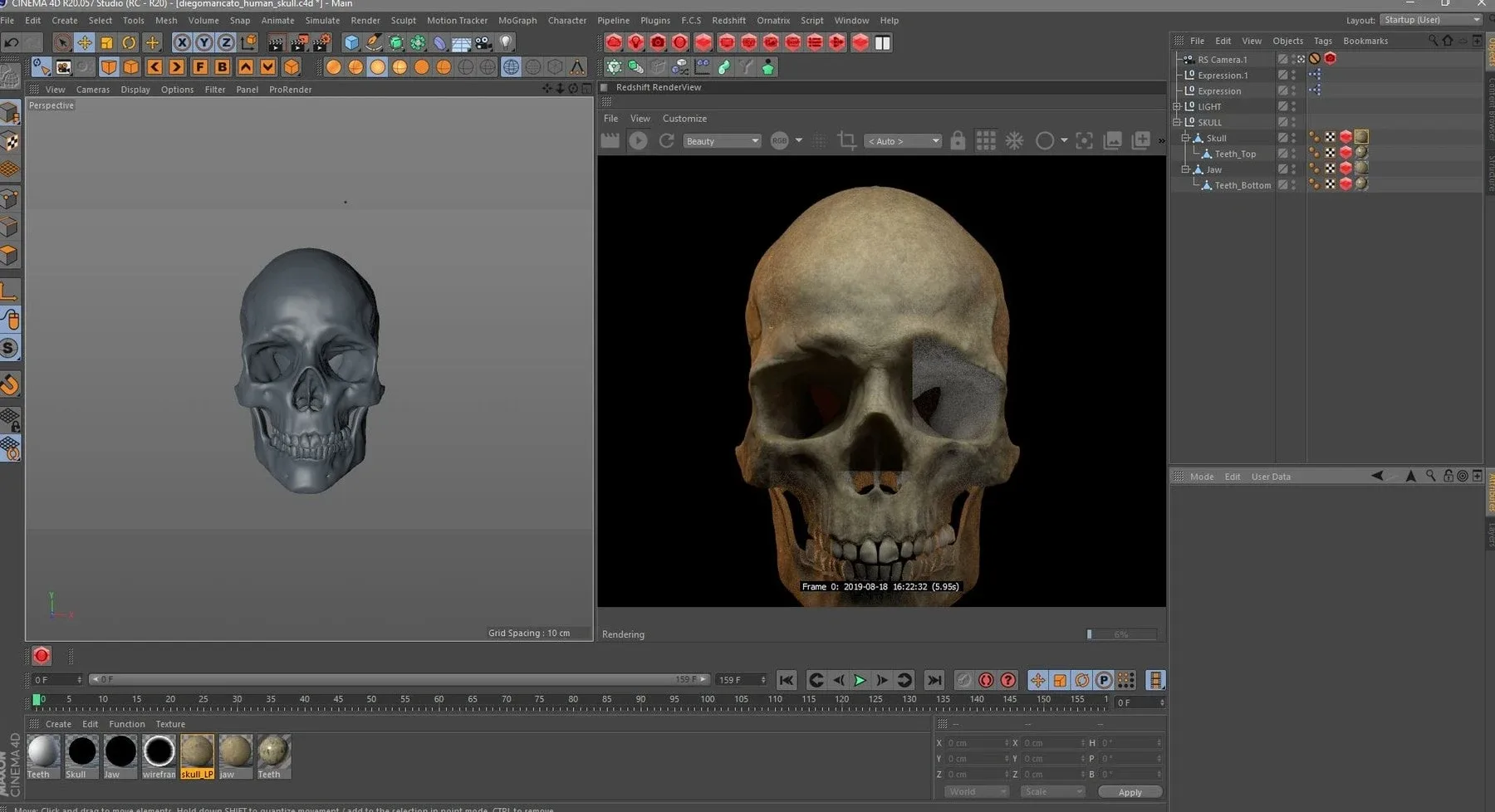 Human Skull - Cinema 4D & Redshift