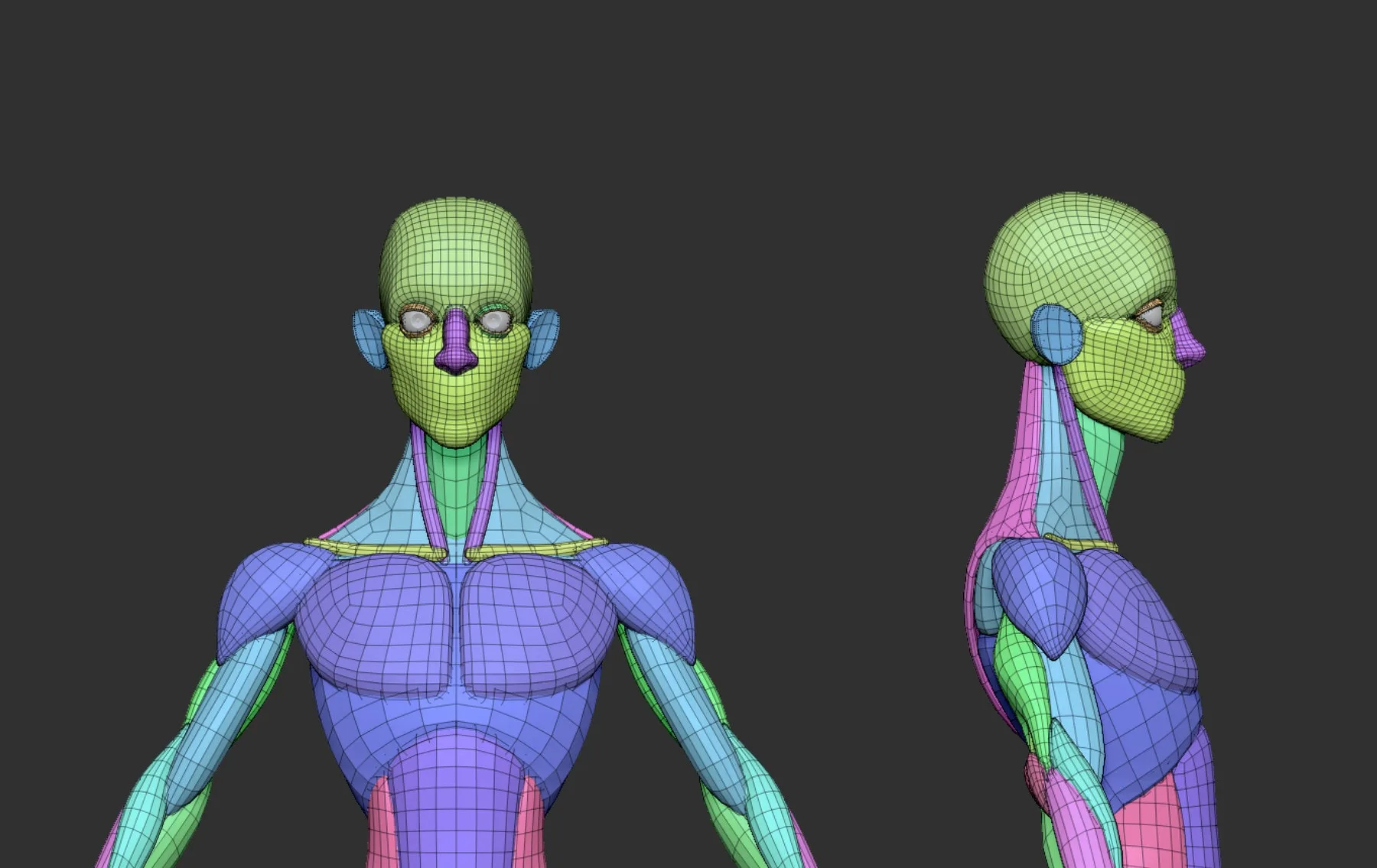 Stylized Male Blockout