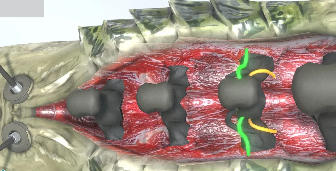 Biomechanical whale - Animated