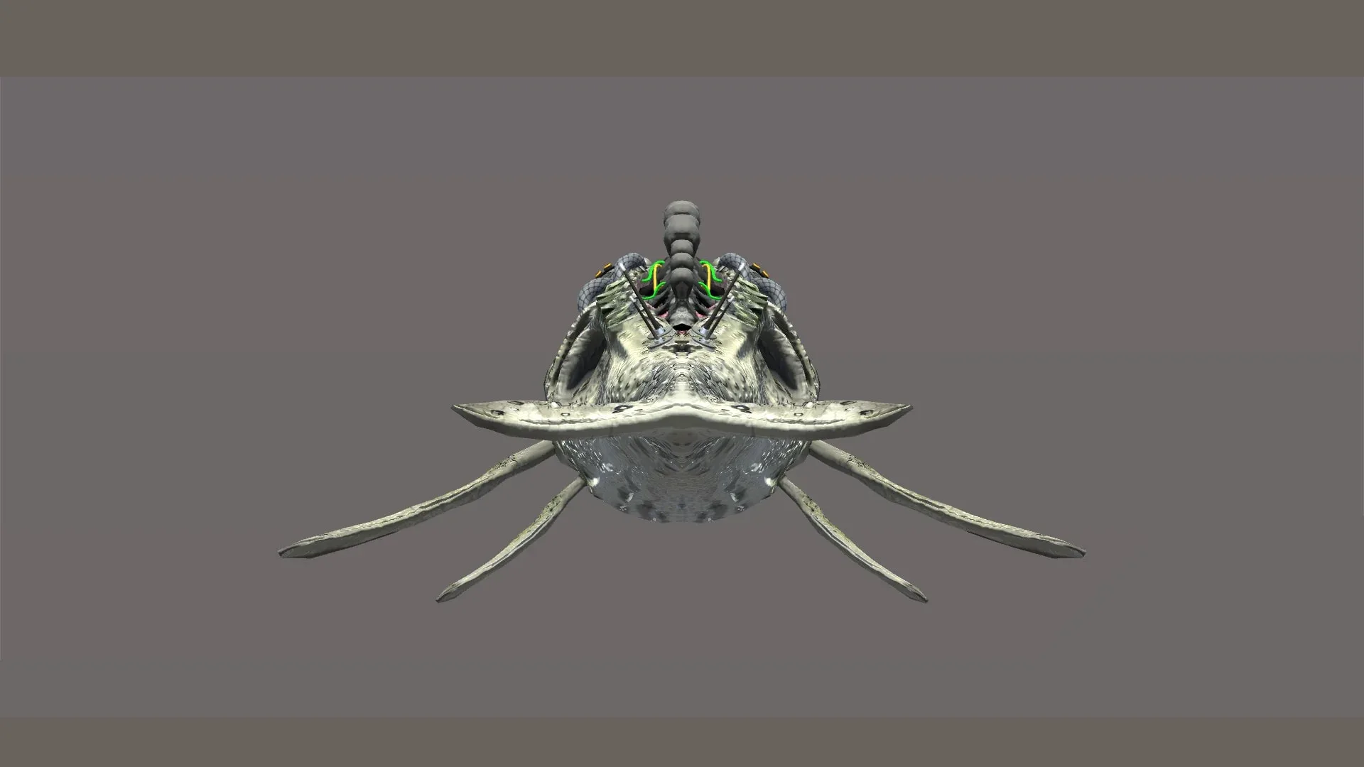 Biomechanical whale - Animated