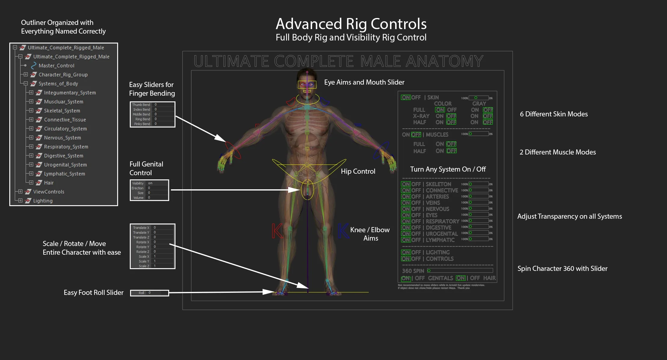 Ultimate Complete Rigged Male