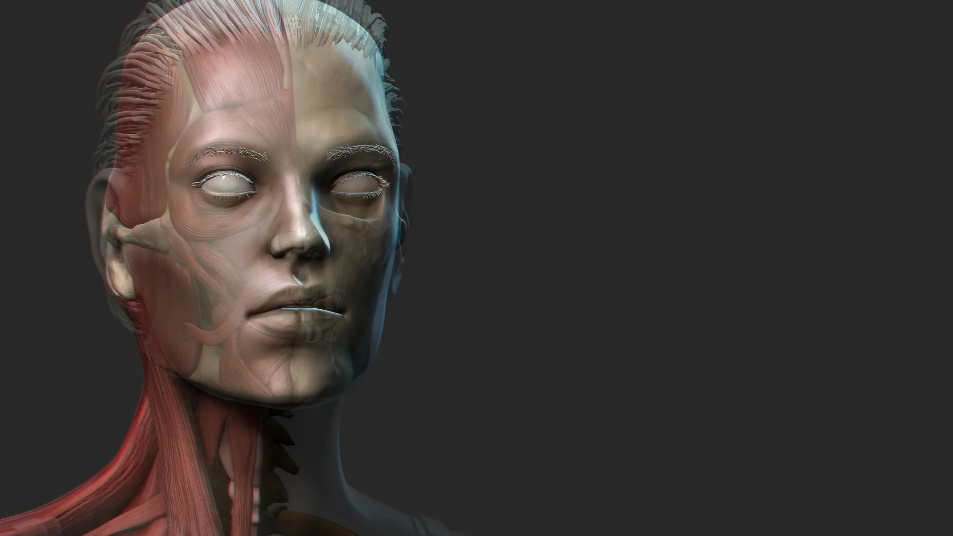 Female Anatomy Sculpting in Zbrush