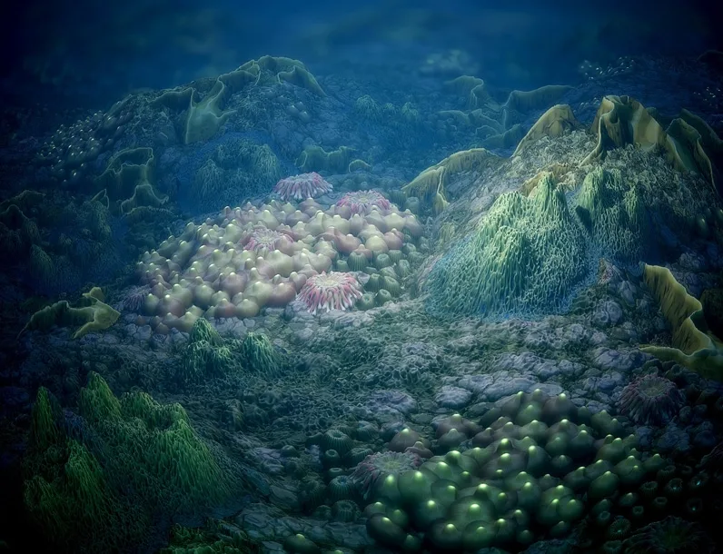 Coral Reef Tileable PBR Material