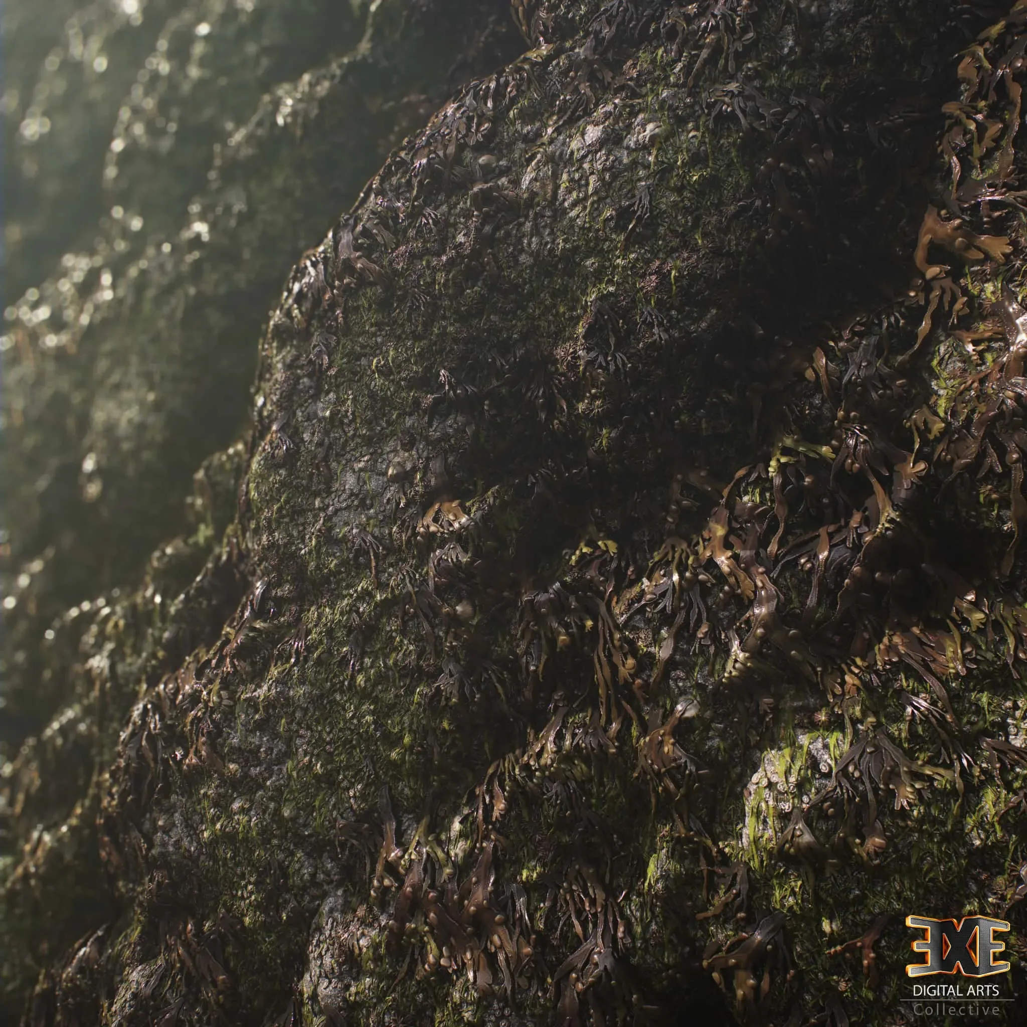 Seaweed On Rock Tileable PBR Material